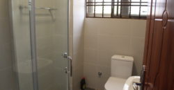 Three Bedroom Apartments